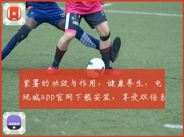 紫薯的功效与作用，健康养生，电玩城app官网下载安装，享受双倍乐趣