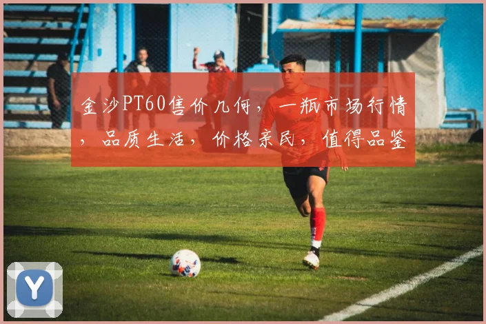 金沙PT60售价几何，一瓶市场行情，品质生活，价格亲民，值得品鉴，3个关键点，一探究竟。