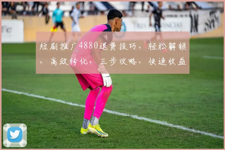 短剧推广4880退费技巧，轻松解锁，高效转化，三步攻略，快速收益，必看