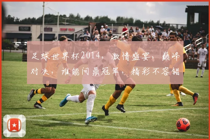 足球世界杯2014，激情盛宴，巅峰对决，谁能问鼎冠军，精彩不容错过