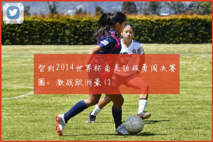 智利2014世界杯南美劲旅勇闯决赛圈，激战欧洲豪门
